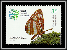 Common Glider (Neptis sappho)