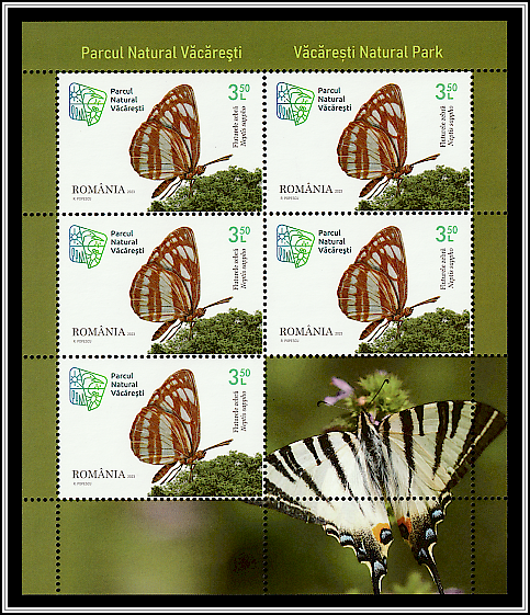 Common Glider (Neptis sappho)