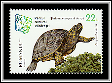 European Pond Turtle (Emys orbicularis)