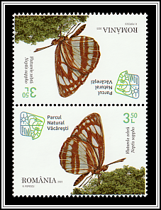 Common Glider (Neptis sappho) Tête-bêche, no gutter