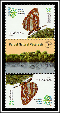 Common Glider (Neptis sappho) Tête-bêche, Romanian gutter