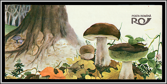Booklet - Front Cover