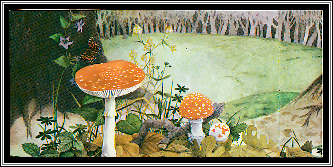 Booklet - Back Cover