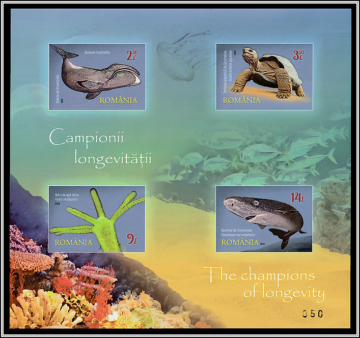 Limited Edition Souvenir Sheet