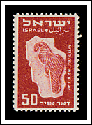 Dove, Relief on the Torah Shrines of Many Synagogues