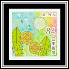 Dandelion (Taraxacum platycarpum)
