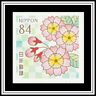 Yaezakura (Cherry Blossoms with Double Blooms)