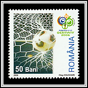 Ball in Net