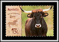 Aurochs (Bos primigenius)