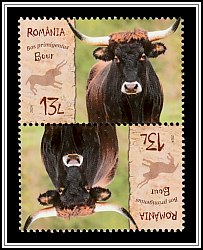 Aurochs (Bos primigenius)