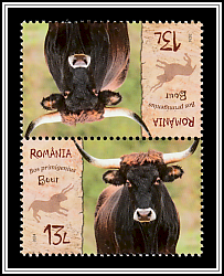 Aurochs (Bos primigenius)