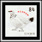Grouse