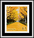 Row of Ginkgo Trees