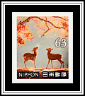 Deer & Autumn Leaves