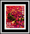 Maple Leaves