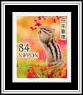 Chipmunk & Red Fruit