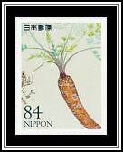 Carrot