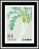 Radish