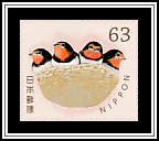 Baby Swallows