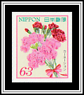 Carnations