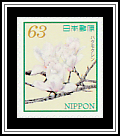 White Magnolias