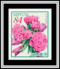 Peonies