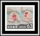 Jigokudani Monkey Park