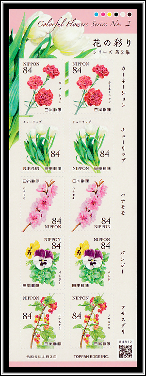 Colorful Flowers