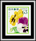 Pansies