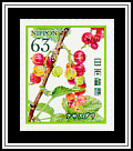 Currants
