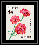 Carnations