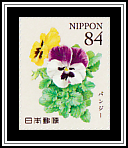 Pansies