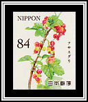 Currants