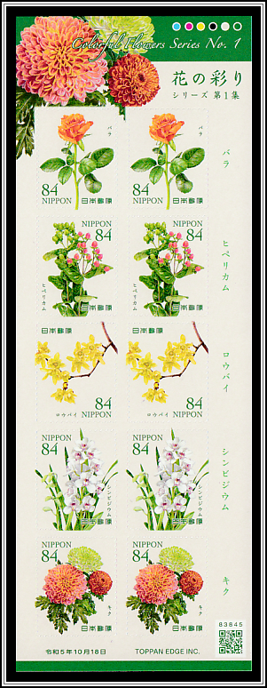 Colorful Flowers