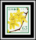 Chimonanthus