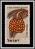 Dates (Phoenix dactylifera)