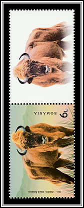 Wild Bison (Bison bonasus) Bottom Right Label