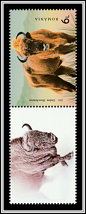 Wild Bison (Bison bonasus) Bottom Left Label
