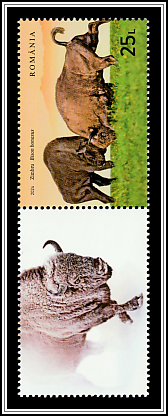Wild Bison (Bison bonasus) Bottom Left Label