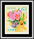 Tulips (Tulipa sp.), Pansies (Viola tricolor var. hortensis)