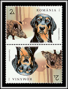 Transylvanian Hound and Wild Boar Tête-bêche Type I