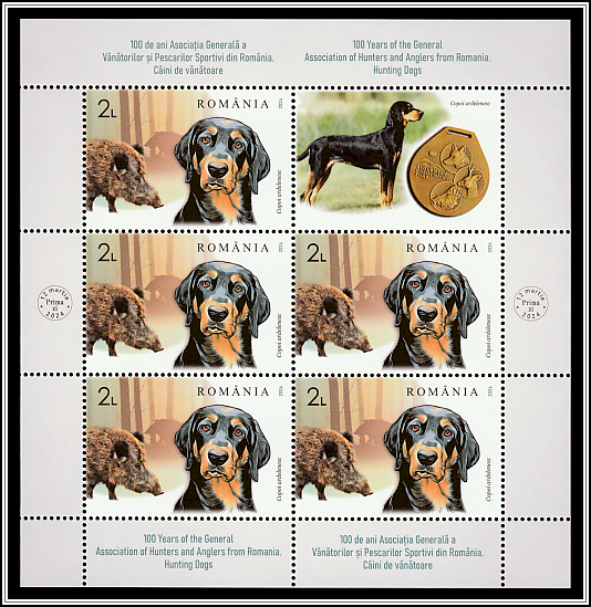 Transylvanian Hound and Wild Boar