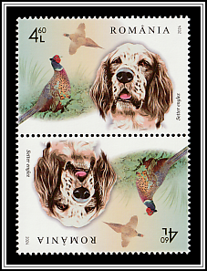 English Setter and Pheasant Tête-bêche Type I