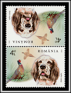 English Setter and Pheasant Tête-bêche Type II