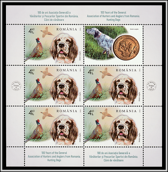 English Setter and Pheasant