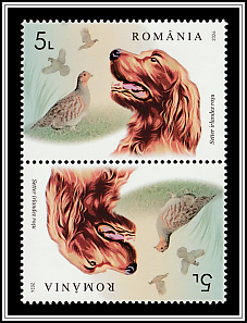 Irish Setter and Quail Tête-bêche Type I