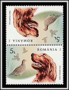 Irish Setter and Quail Tête-bêche Type II