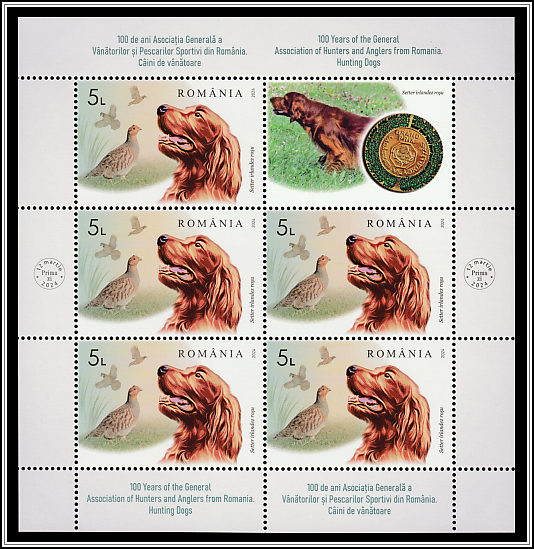 Irish Setter and Quail