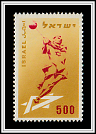 Hammer Throw