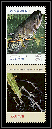 Wels Catfish (Silurus glanis) Lower Left Label